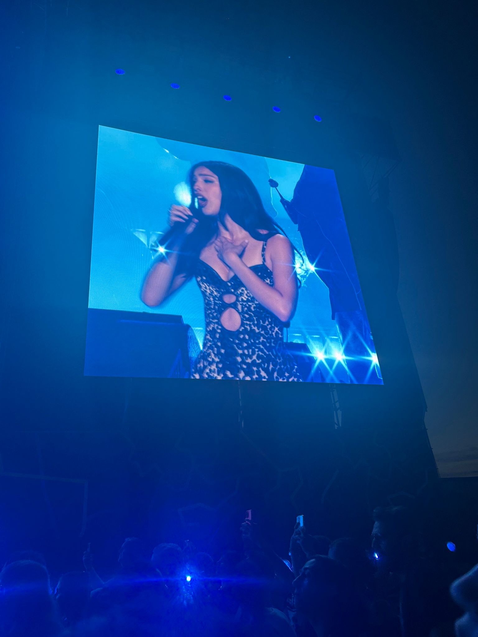 Schermo gigante del concerto